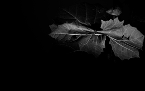 Cool Stuff comming Soon